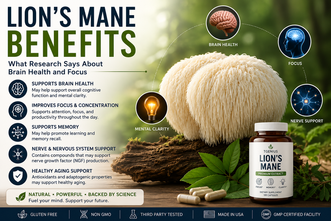 Lion’s Mane for Brain Health: Benefits, Focus & Memory Guide| TGenius LLC