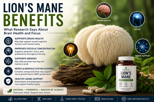 Lion’s Mane for Brain Health: Benefits, Focus & Memory Guide| TGenius LLC