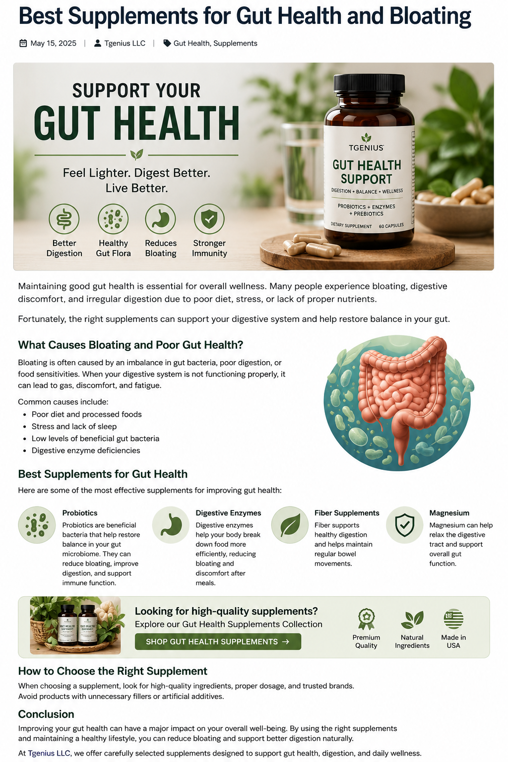 Best Supplements for Gut Health and Bloating (2026)