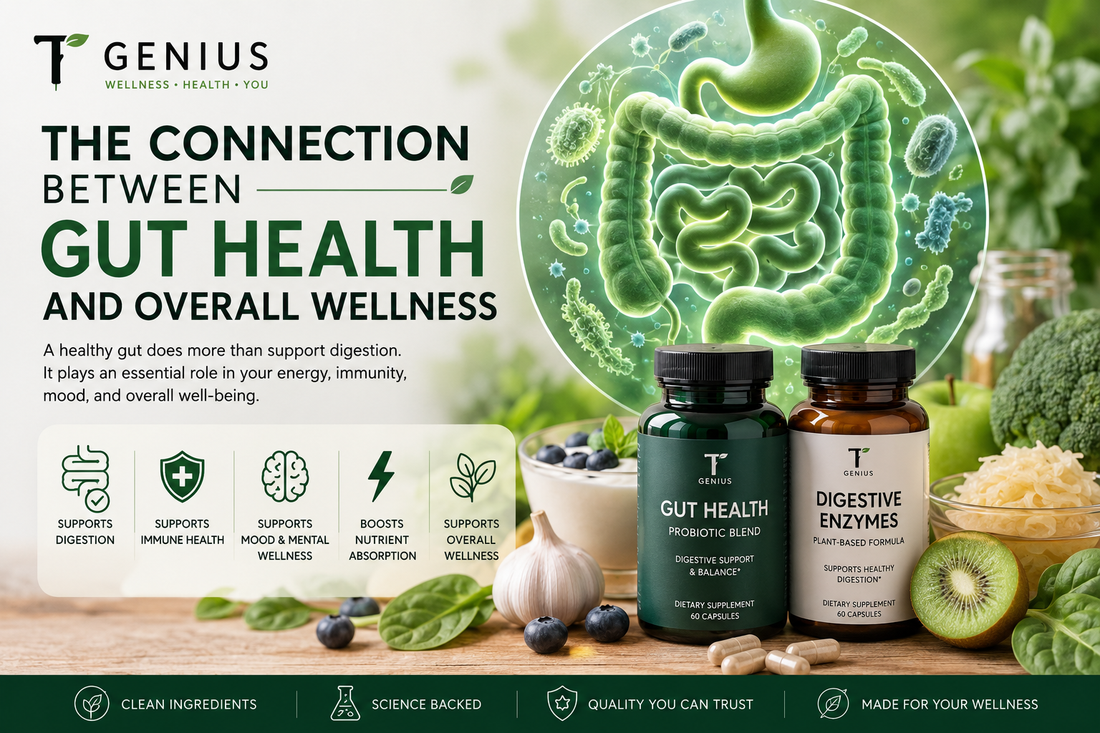 The Connection Between Gut Health and Overall Wellness